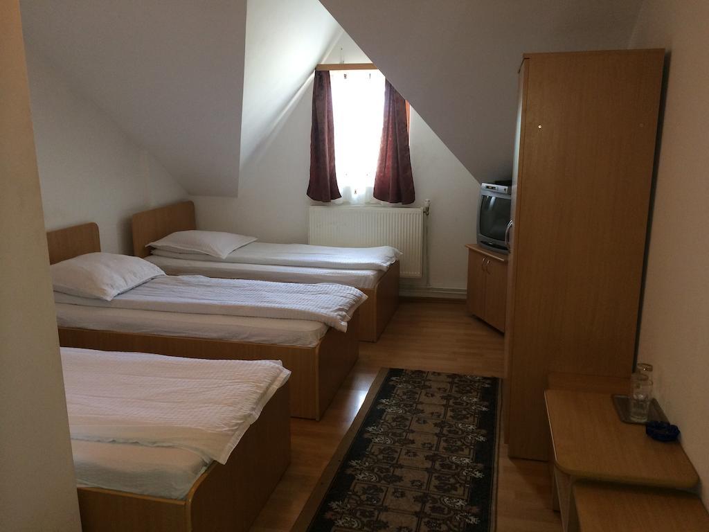 Pensiunea Simina Caransebeş Kamer foto